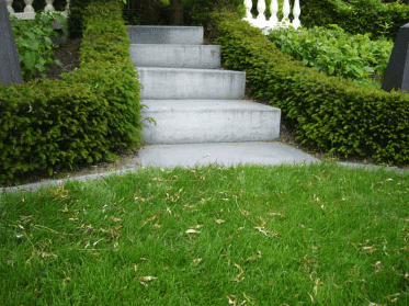 Einen kleinen Garten anlegen: Tipps & Tricks